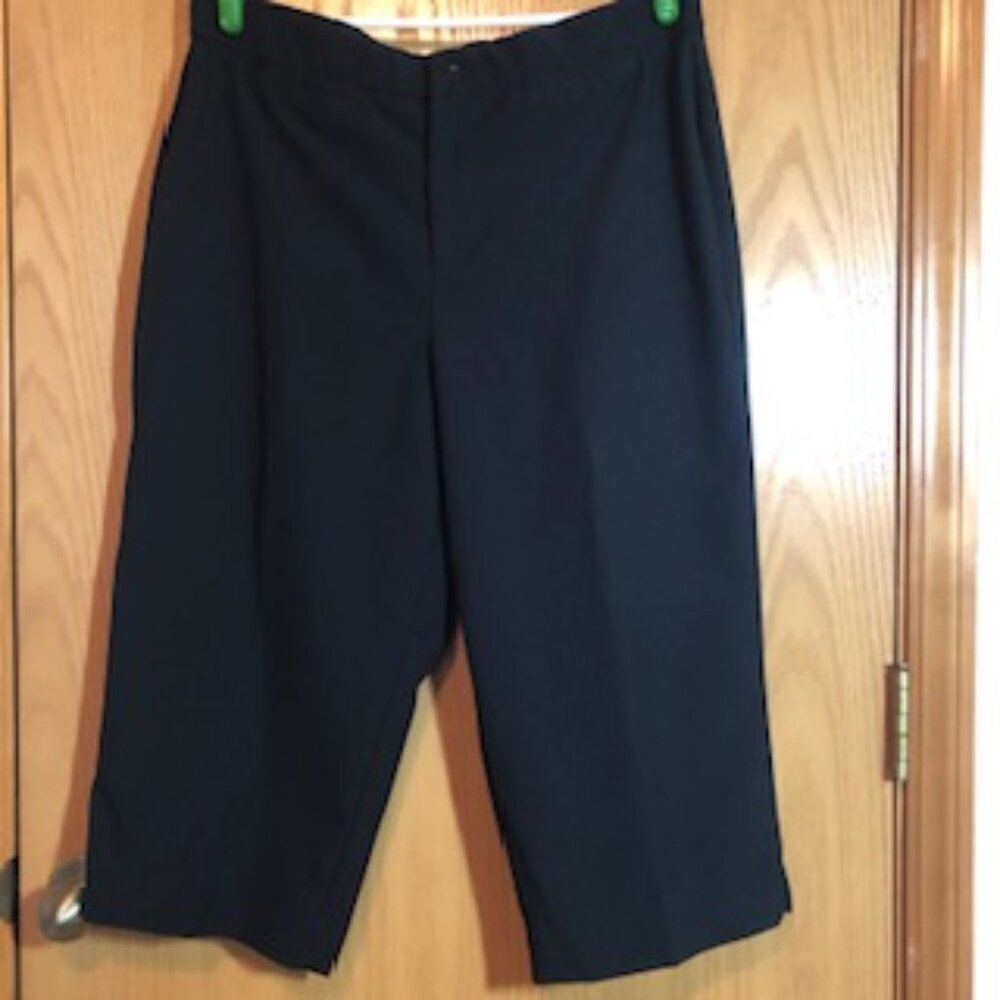 Christopher & Banks Cropped Black Pants Trousers Capris Excellent Condition 14